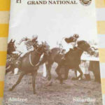 1991 Grand National
